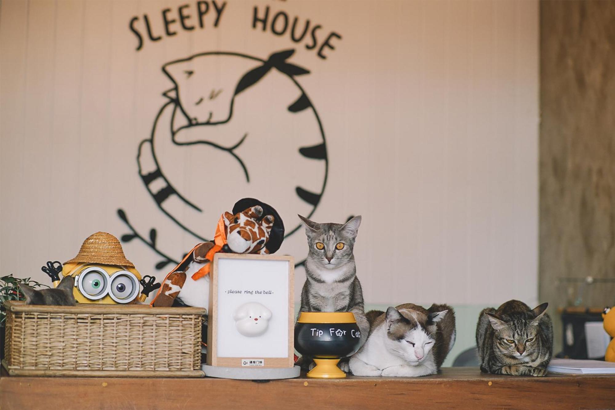 Sleepy House Chiang Rai Bed & Breakfast Dış mekan fotoğraf