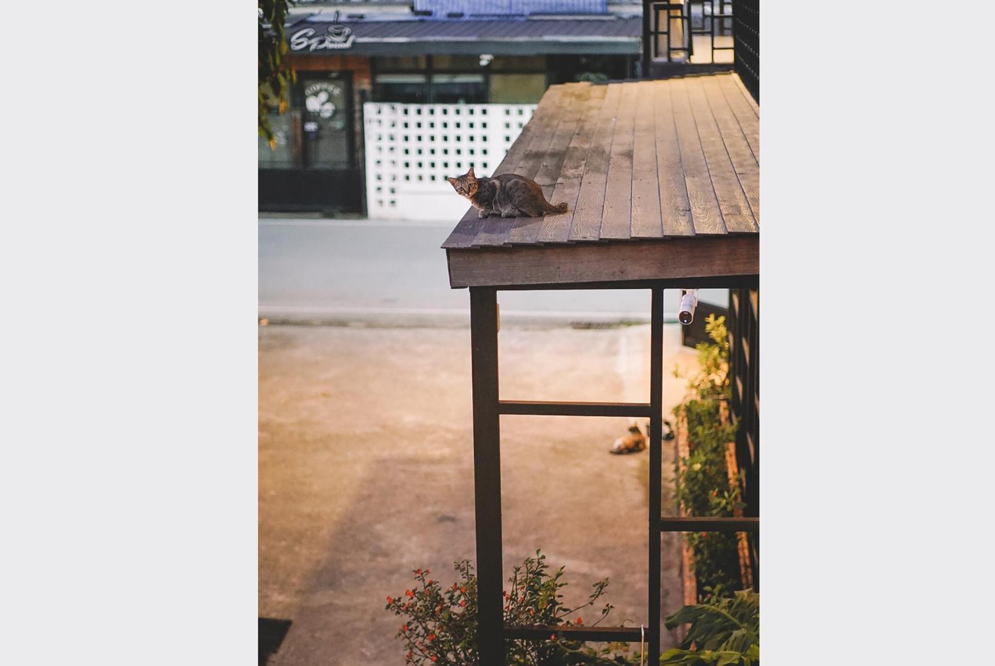 Sleepy House Chiang Rai Bed & Breakfast Dış mekan fotoğraf